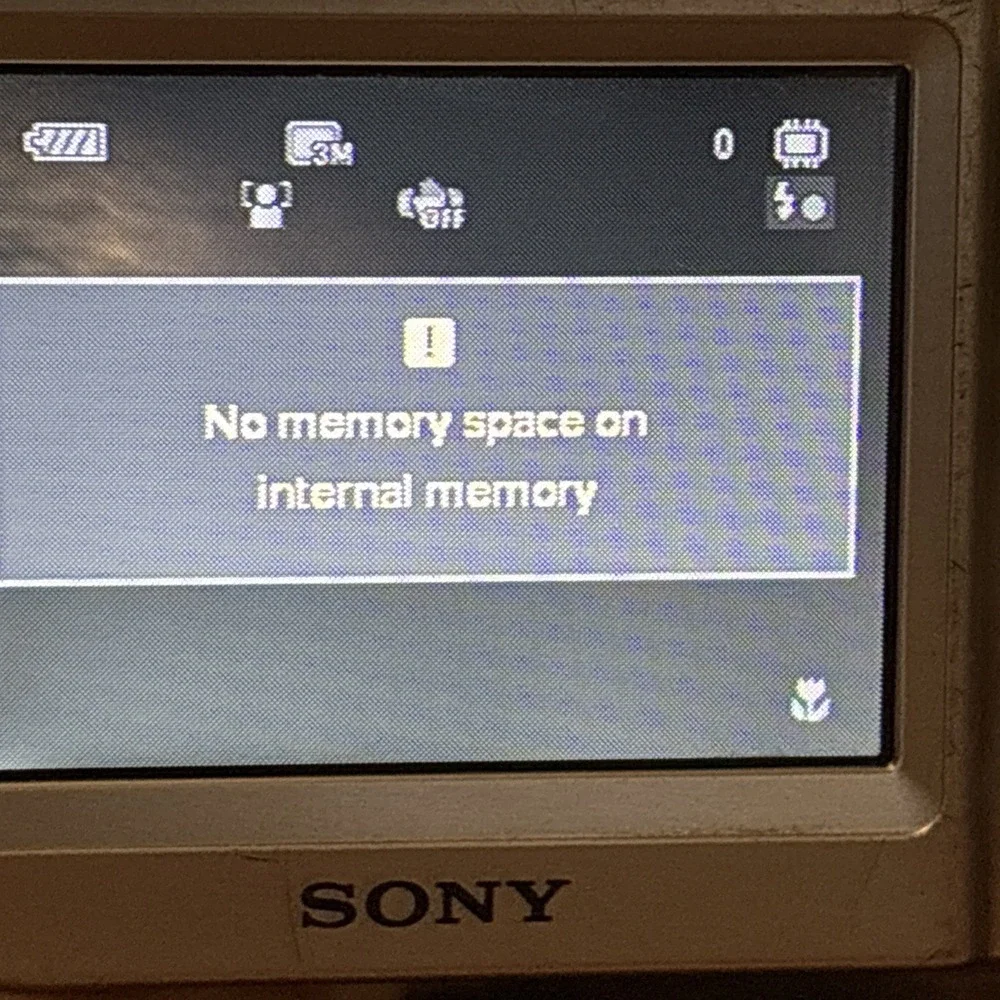 Sony Cybershot Steadyshot DSC-s930 Working Tested